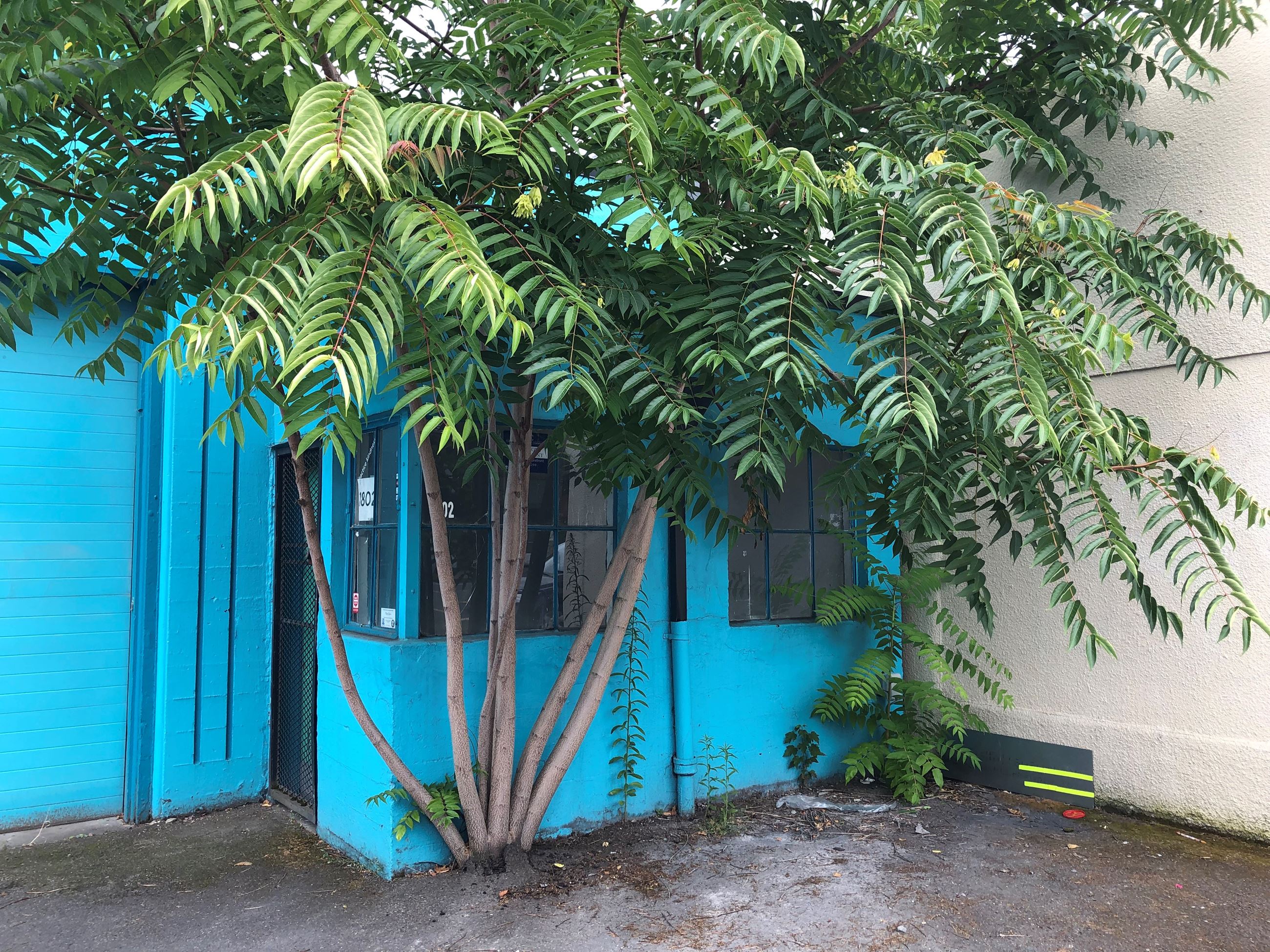 52489611343_23e06b6dc8_o